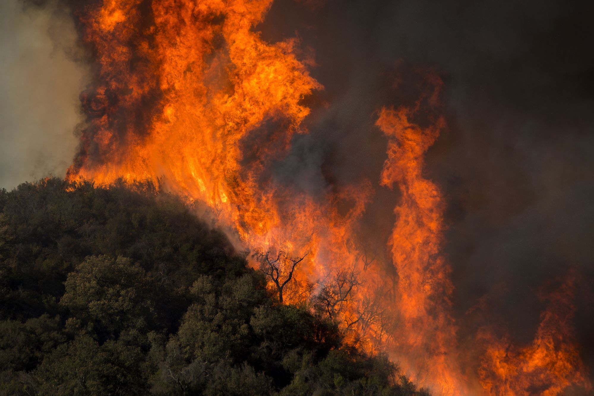 Mexico wildfires